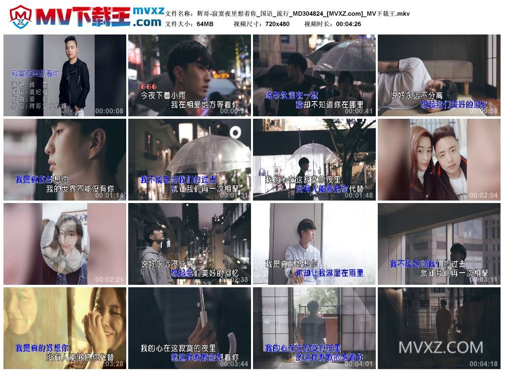 辉哥-寂寞夜里想着你_国语_流行_MD304824